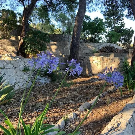 Bed & Breakfast Dame Del Mare *