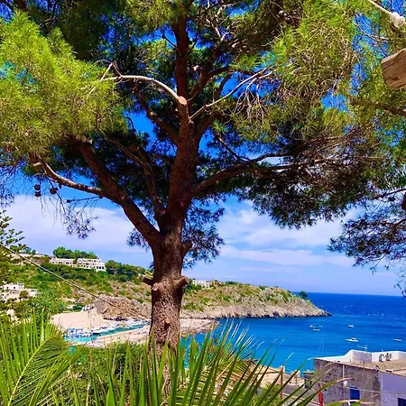 Dame Del Mare Bed & Breakfast Castro (Lecce)