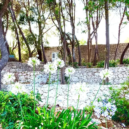 Dame Del Mare Bed & Breakfast Castro (Lecce)